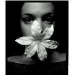 blossom01.jpg
Poet zobrazen: 2384 (6515.6034 dn) pr.=0.3659
Rozmr: 343 x 402 pixel
Velikost: 38.21 kB