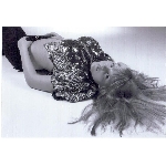 missnet-sejmout0008.jpg
Po�et zobrazen�: 1516 (6736.9452 dn�) pr.=0.2250
Rozm�r: 874 x 600 pixel
Velikost: 73.71 kB