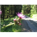 m144_4466.jpg
Poet zobrazen: 3389 (6529.2508 dn) pr.=0.5190
Rozmr: 1600 x 1200 pixel
Velikost: 414.456 kB
