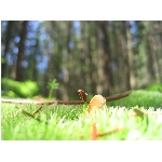 m144_4500.jpg
Poet zobrazen: 3628 (6529.3942 dn) pr.=0.5556
Rozmr: 1600 x 1200 pixel
Velikost: 382.149 kB