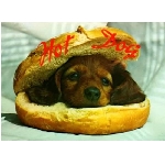 hotdog.jpg
Poet zobrazen: 3684 (6527.7405 dn) pr.=0.5644
Rozmr: 550 x 403 pixel
Velikost: 24.509 kB