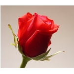 if-04257.jpg
Poet zobrazen: 3329 (6531.5564 dn) pr.=0.5097
Rozmr: 350 x 300 pixel
Velikost: 14.471 kB
