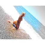 d11.jpg
Po�et zobrazen�: 1430 (5707.0502 dn�) pr.=0.2506
Rozm�r: 600 x 450 pixel
Velikost: 191.148 kB