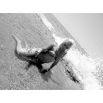 d5.jpg
Po�et zobrazen�: 1349 (5707.0505 dn�) pr.=0.2364
Rozm�r: 600 x 450 pixel
Velikost: 142.136 kB